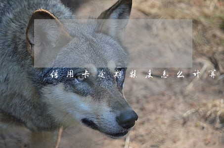 信用卡逾期额度怎么计算 信用卡逾期额度怎么计算