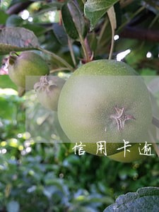 信用卡逾期额度恢复需要多久 信用卡逾期额度恢复需要多久