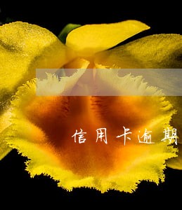 信用卡逾期额度数据描述分析