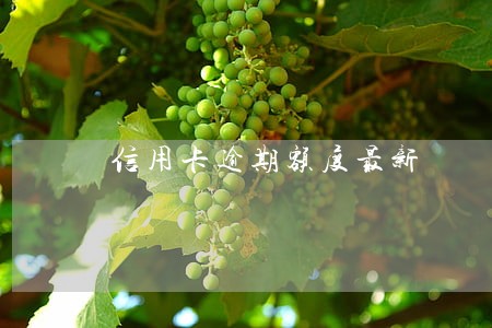 信用卡逾期额度最新 信用卡逾期额度最新
