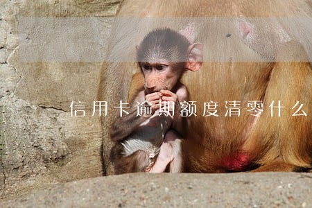 信用卡逾期额度清零什么恢复 信用卡逾期额度清零什么恢复