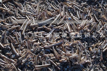 信用卡逾期额度被锁怎么解锁 信用卡逾期额度被锁怎么解锁