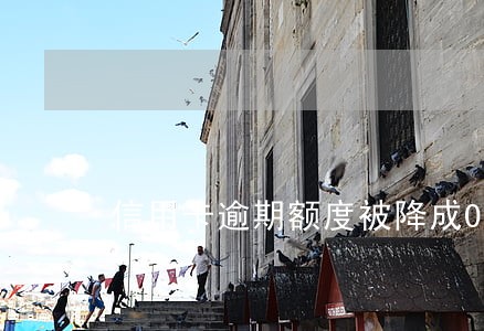信用卡逾期额度被降成0 信用卡逾期额度被降成0