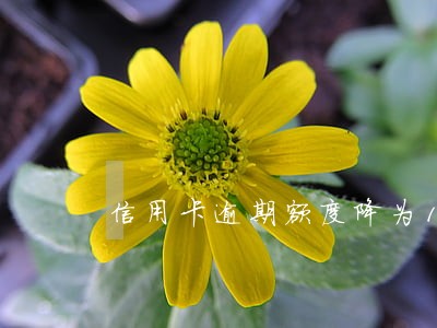 信用卡逾期额度降为10 信用卡逾期额度降为10
