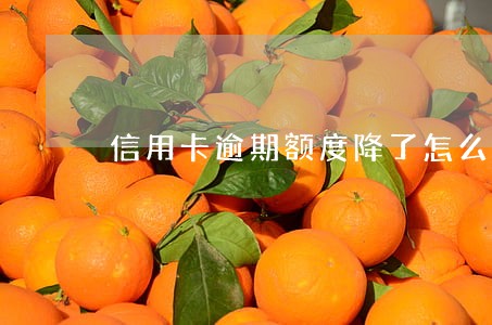 信用卡逾期额度降了怎么办 信用卡逾期额度降了怎么办