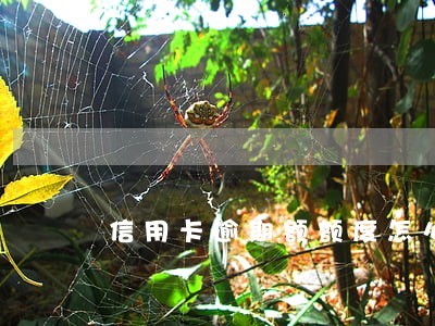 信用卡逾期额额度怎么恢复 信用卡逾期额额度怎么恢复