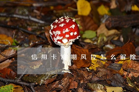 信用卡逾期风控怎么解除 信用卡逾期风控怎么解除