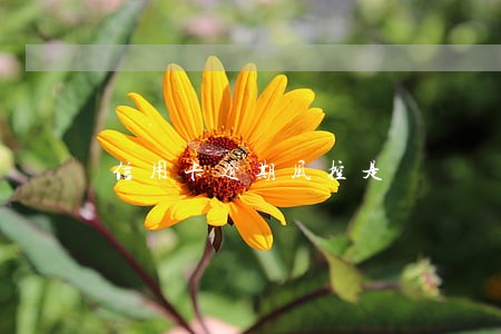 信用卡逾期风控是