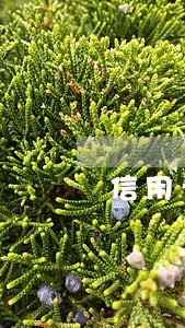 信用卡逾期风险成因 信用卡逾期风险成因