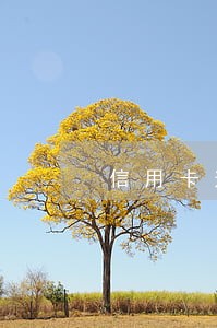 信用卡逾期风险控制部打电话 信用卡逾期风险控制部打电话
