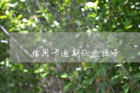 信用卡逾期风险提示 信用卡逾期风险提示