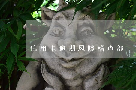 信用卡逾期风险稽查部 信用卡逾期风险稽查部