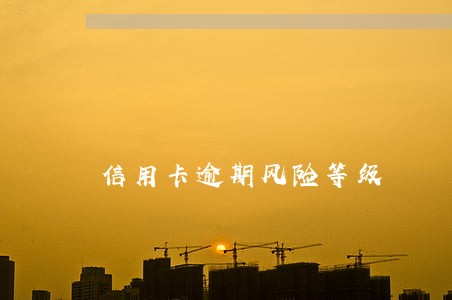 信用卡逾期风险等级 信用卡逾期风险等级