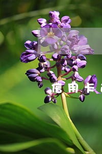信用卡逾期风险管理部