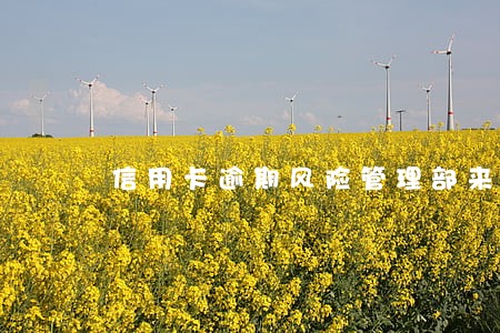 信用卡逾期风险管理部来邮件 信用卡逾期风险管理部来邮件
