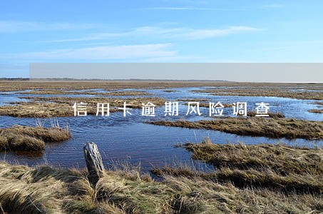 信用卡逾期风险调查 信用卡逾期风险调查