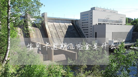 信用卡逾期风险金是什么 信用卡逾期风险金是什么