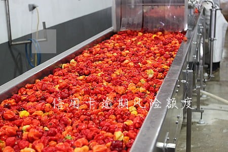 信用卡逾期风险额度 信用卡逾期风险额度
