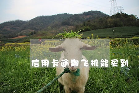 信用卡逾期飞机能买到 信用卡逾期飞机能买到
