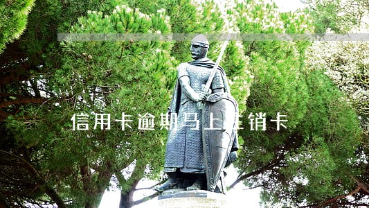 信用卡逾期马上注销卡