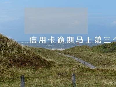 信用卡逾期马上第三个账单日 信用卡逾期马上第三个账单日