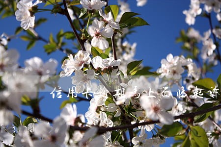 信用卡逾期马上面临起诉怎么办 信用卡逾期马上面临起诉怎么办