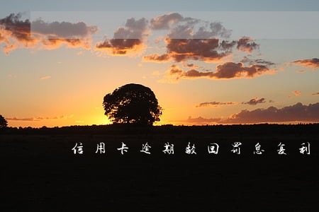 信用卡逾期驳回罚息复利等主张 信用卡逾期驳回罚息复利等主张