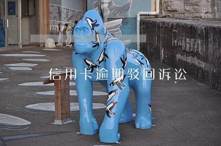 信用卡逾期驳回诉讼 信用卡逾期驳回诉讼