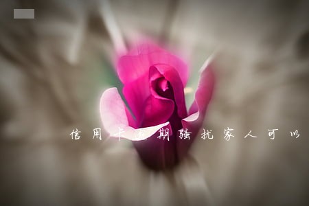 信用卡逾期骚扰家人可以报警么 信用卡逾期骚扰家人可以报警么