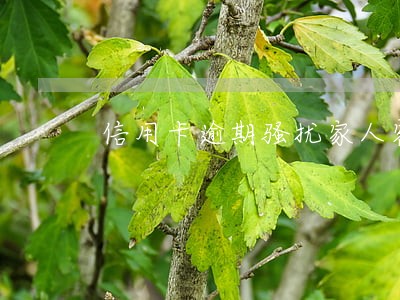 信用卡逾期骚扰家人客服投诉了 信用卡逾期骚扰家人客服投诉了