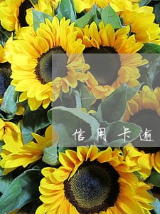 信用卡逾期骚扰家人怎么投诉 信用卡逾期骚扰家人怎么投诉