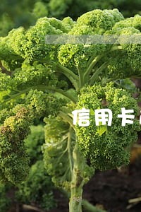 信用卡逾期骚扰投诉电话 信用卡逾期骚扰投诉电话