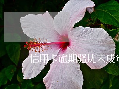 信用卡逾期骚扰未成年 信用卡逾期骚扰未成年