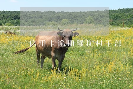 信用卡逾期骚扰村干部 信用卡逾期骚扰村干部