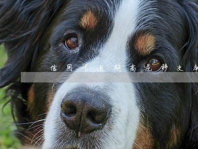 信用卡逾期高危移交本地银行风控 信用卡逾期高危移交本地银行风控