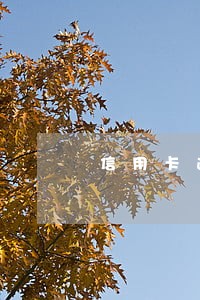 信用卡逾期高吗 信用卡逾期高吗