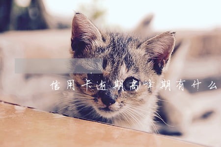 信用卡逾期高峰期有什么费用 信用卡逾期高峰期有什么费用