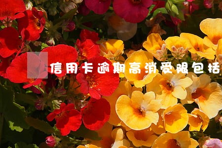 信用卡逾期高消受限包括什么 信用卡逾期高消受限包括什么