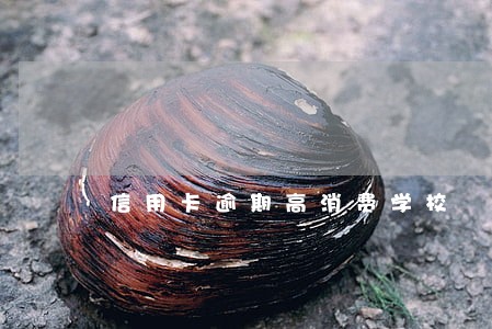 信用卡逾期高消费学校 信用卡逾期高消费学校