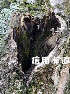 信用卡逾期高风险用户 信用卡逾期高风险用户