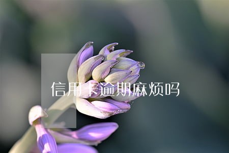 信用卡逾期麻烦吗 信用卡逾期麻烦吗