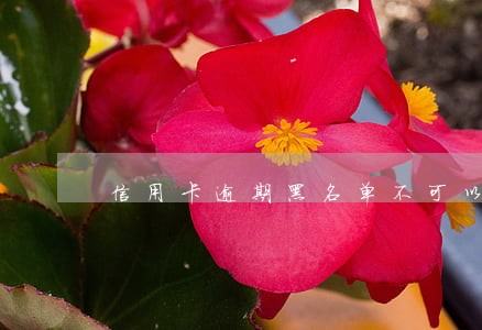信用卡逾期黑名单不可以坐高铁吗