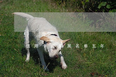 信用卡逾期黑名单五年