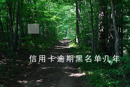 信用卡逾期黑名单几年