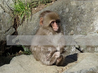 信用卡逾期黑名单可以贷款吗 信用卡逾期黑名单可以贷款吗