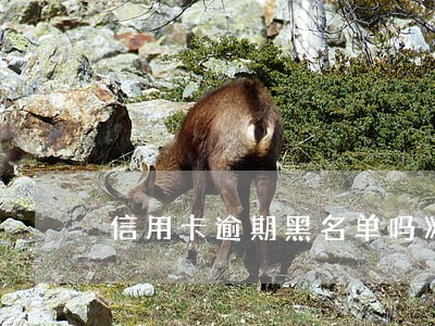 信用卡逾期黑名单吗》 信用卡逾期黑名单吗》