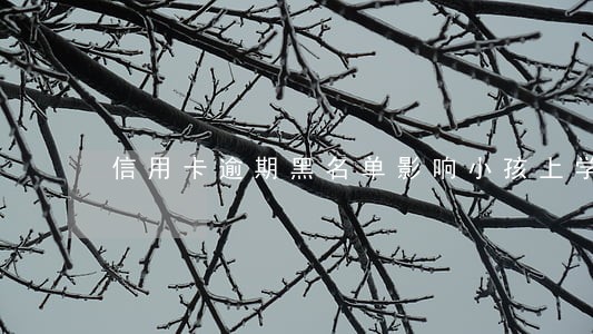 信用卡逾期黑名单影响小孩上学 信用卡逾期黑名单影响小孩上学