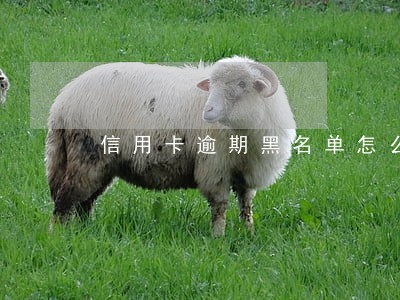 信用卡逾期黑名单怎么查询 信用卡逾期黑名单怎么查询