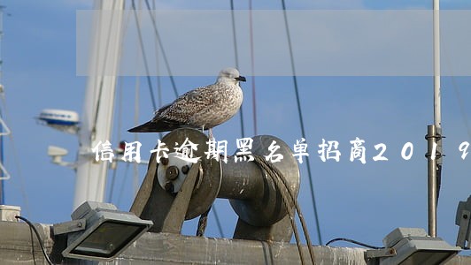信用卡逾期黑名单招商2019 信用卡逾期黑名单招商2019