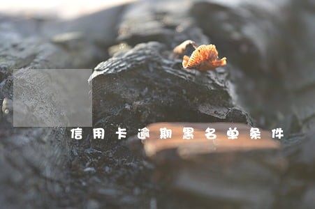 信用卡逾期黑名单条件 信用卡逾期黑名单条件